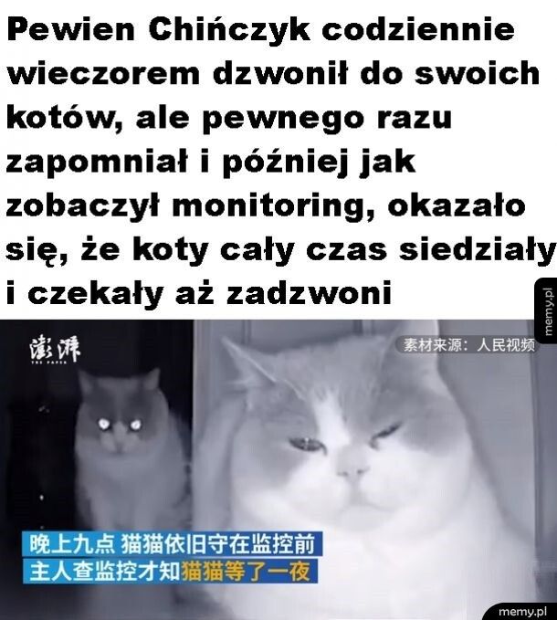 Tęskniły