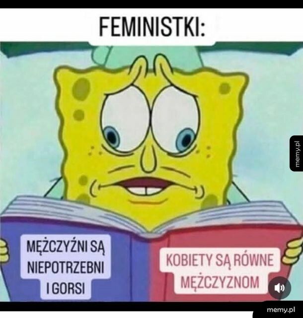 Feministki