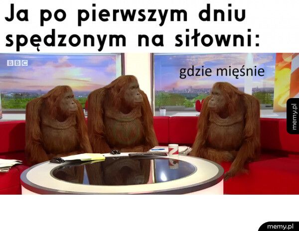Pierwszy dzień