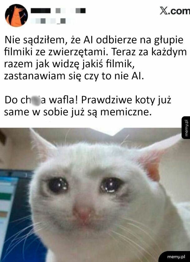 Trochę mnie to denerwuje