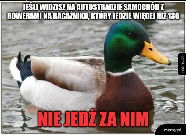 Zawsze takich omijam