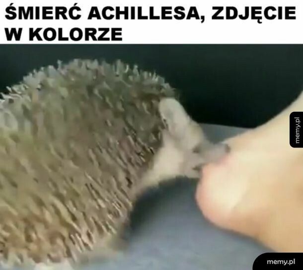 Jedyne takie zdjęcie