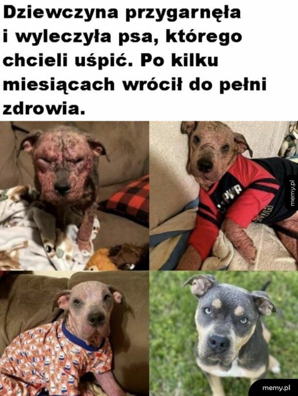Nie zostało nawet śladu
