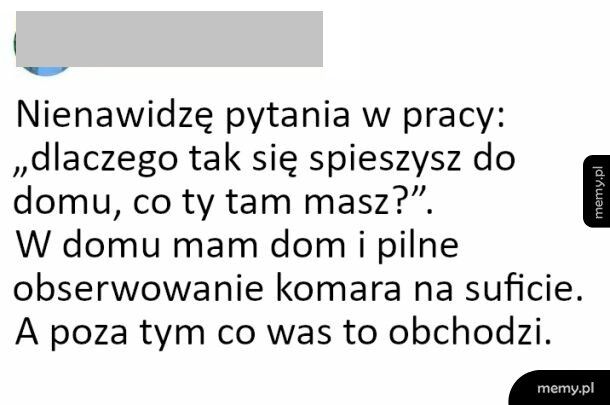 A co was to interesuje