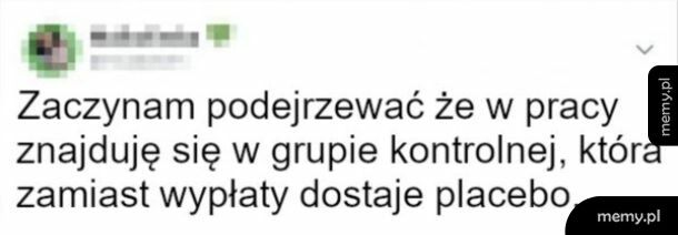 Wszystko na to wskazuje