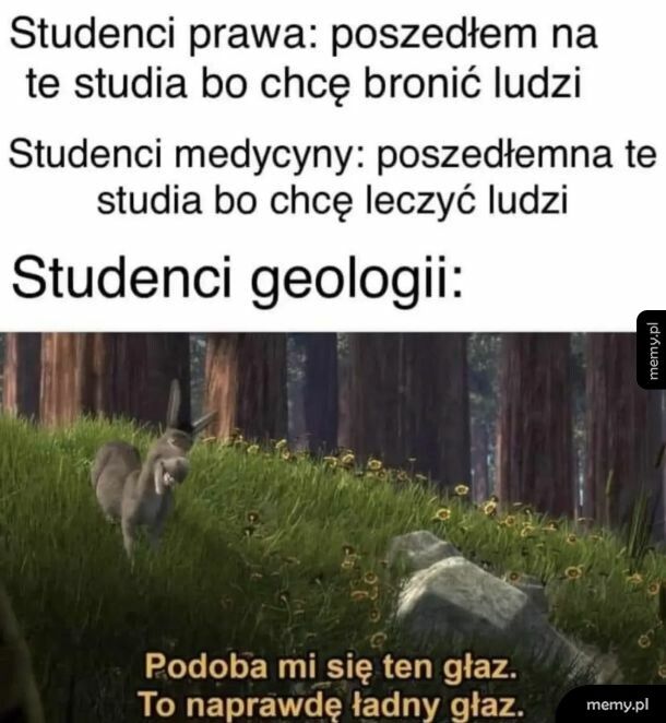 Kto co lubi