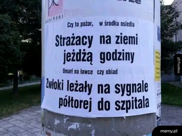 Końskie?