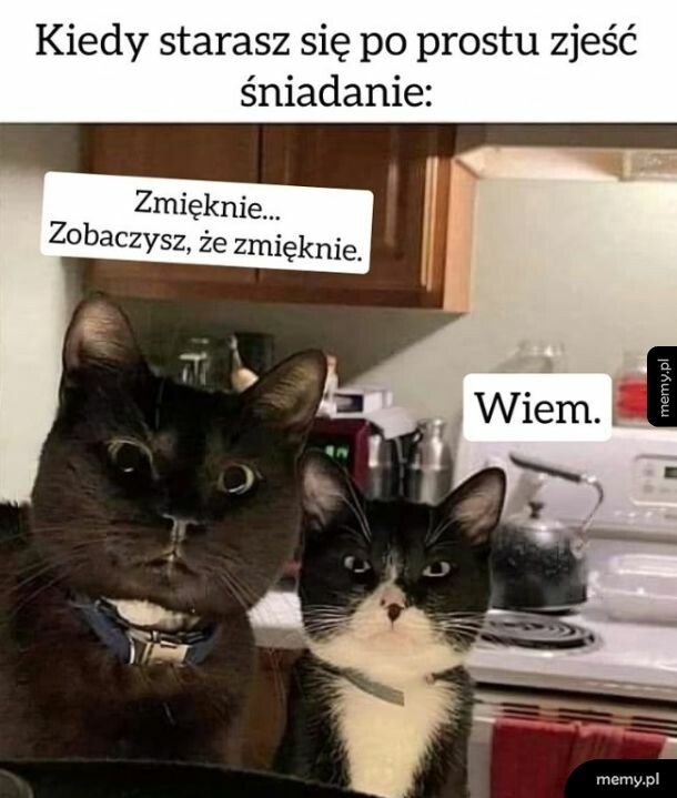 Śniadanko w towarzystwie