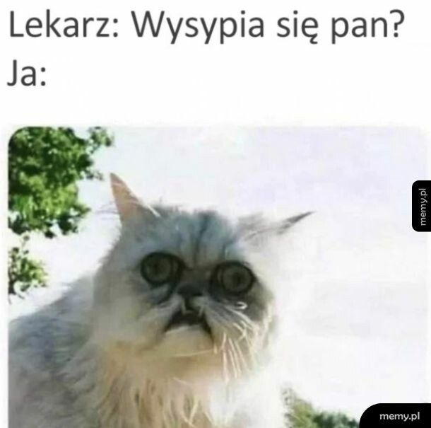 Dobry sen to podstawa