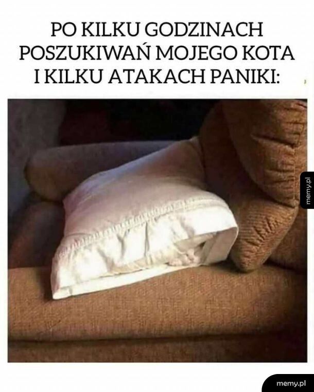 Zguba się odnalazła