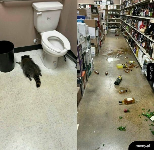 Gdyby nie mieszał alkoholi w życiu by go nie złapali.