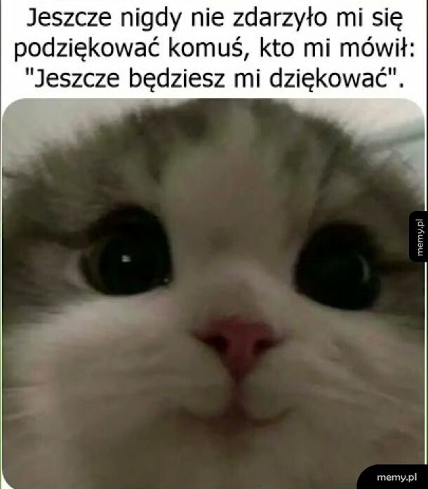 Zadowolony