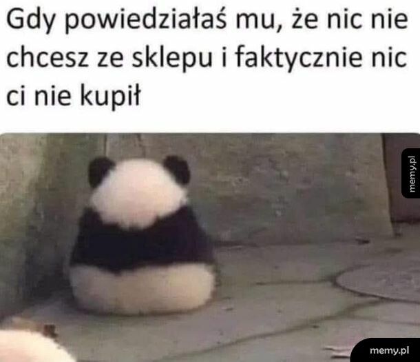 Jak on m&oacute;gł
