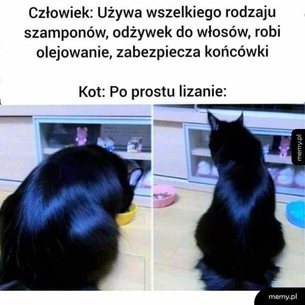Włosy
