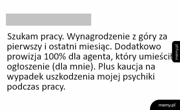 Szukam pracy