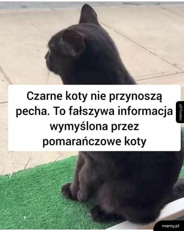 Zgadza się