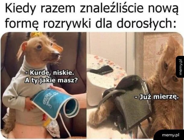 Rozrywka dla dorosłych