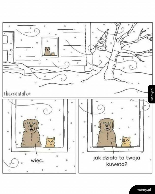 Lepiej nie wychodzić    xd