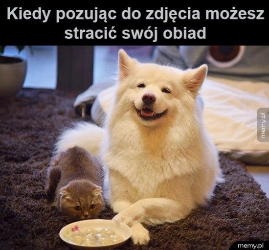 Bądź czujny!