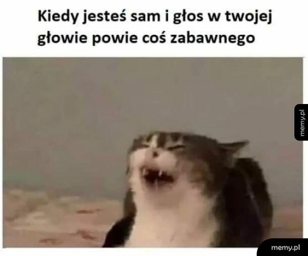 Głosy