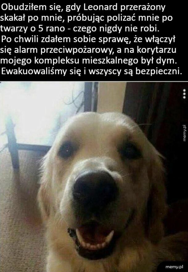 Uratował im życie