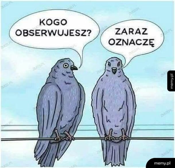 Obserowanie i oznaczanie