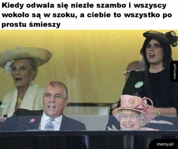 Zostało już tylko się śmiać