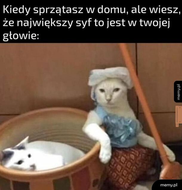 Porządki