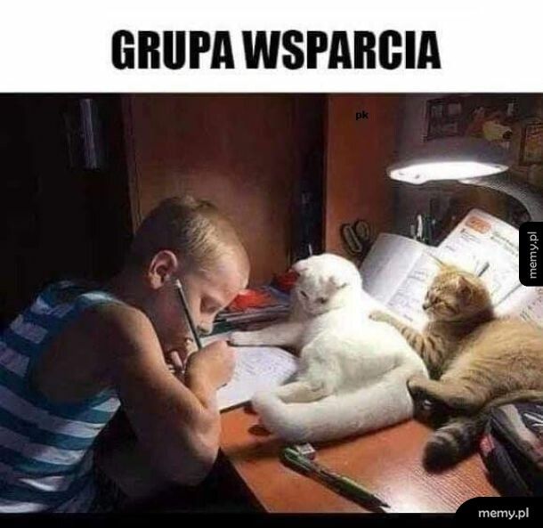 Grupa wsparcia