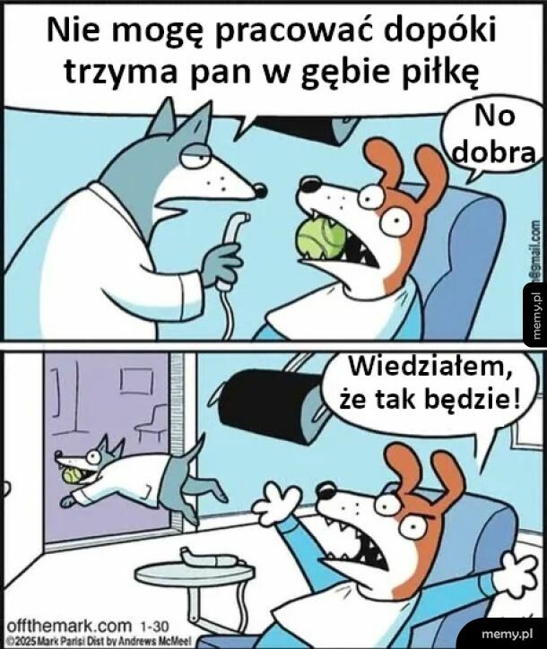 Wiedziałem