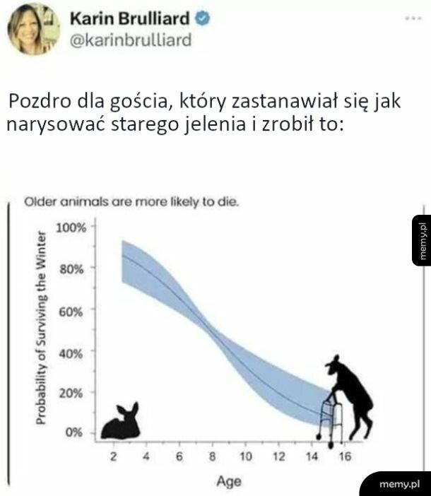 W sumie spoko wyszło