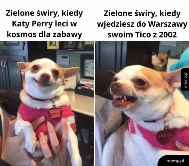 Szkoda sł&oacute;w