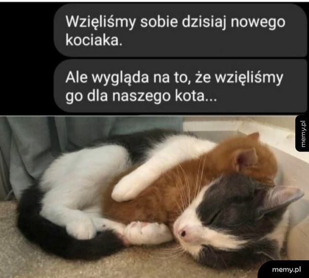 Zaadoptował