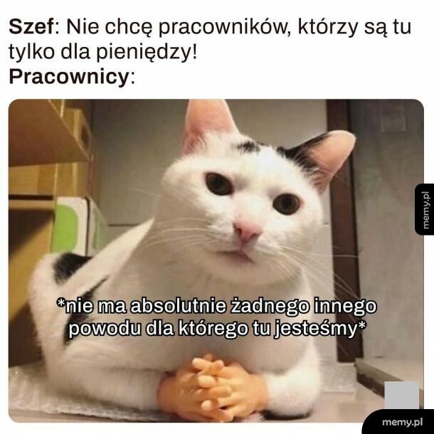 Praca
