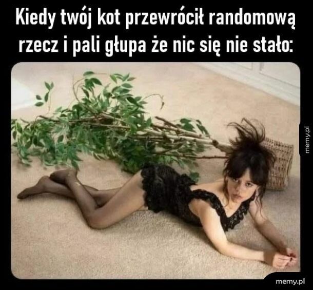 On zawsze tak