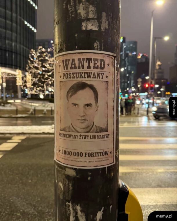 Na miescie tez szukaja