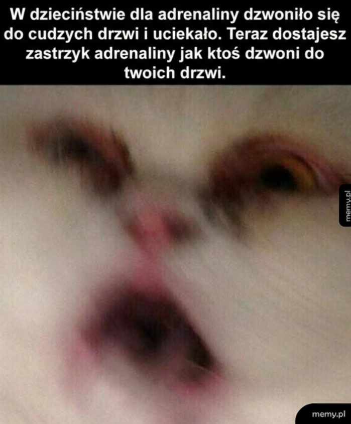 Niezapomniany dreszczyk emocji