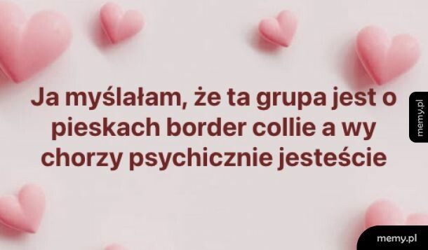 Też border, ale inny xD