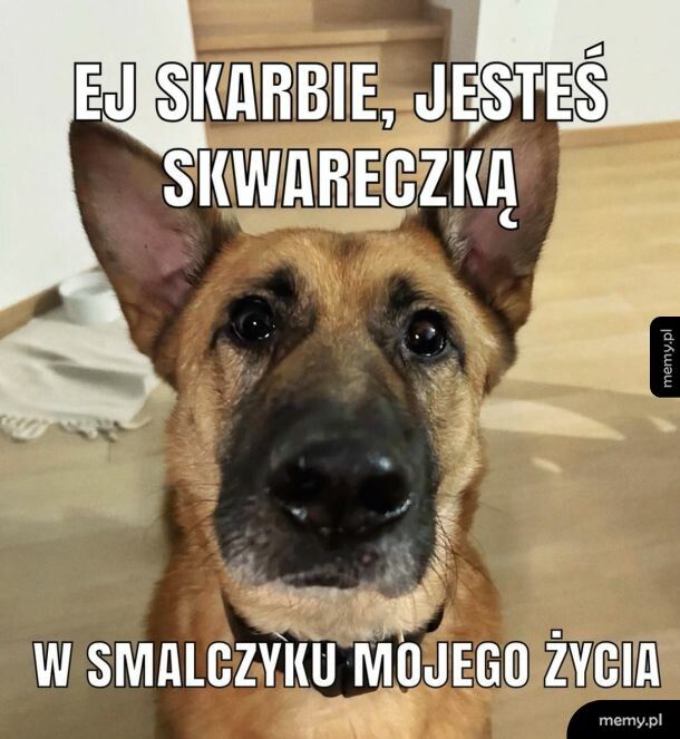 Dobry tekst na podryw