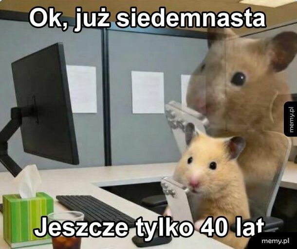 Motywacja na dziś