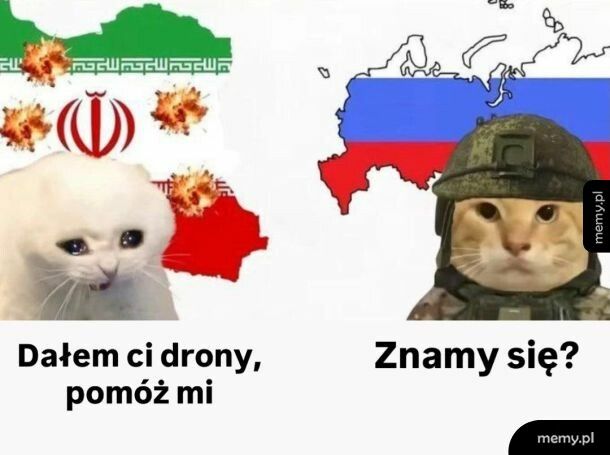 Sojusznicy do końca