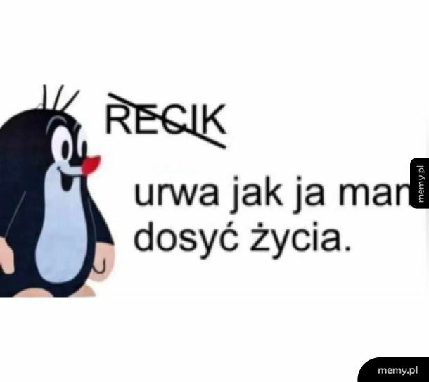 Wesoły rebus na dziś