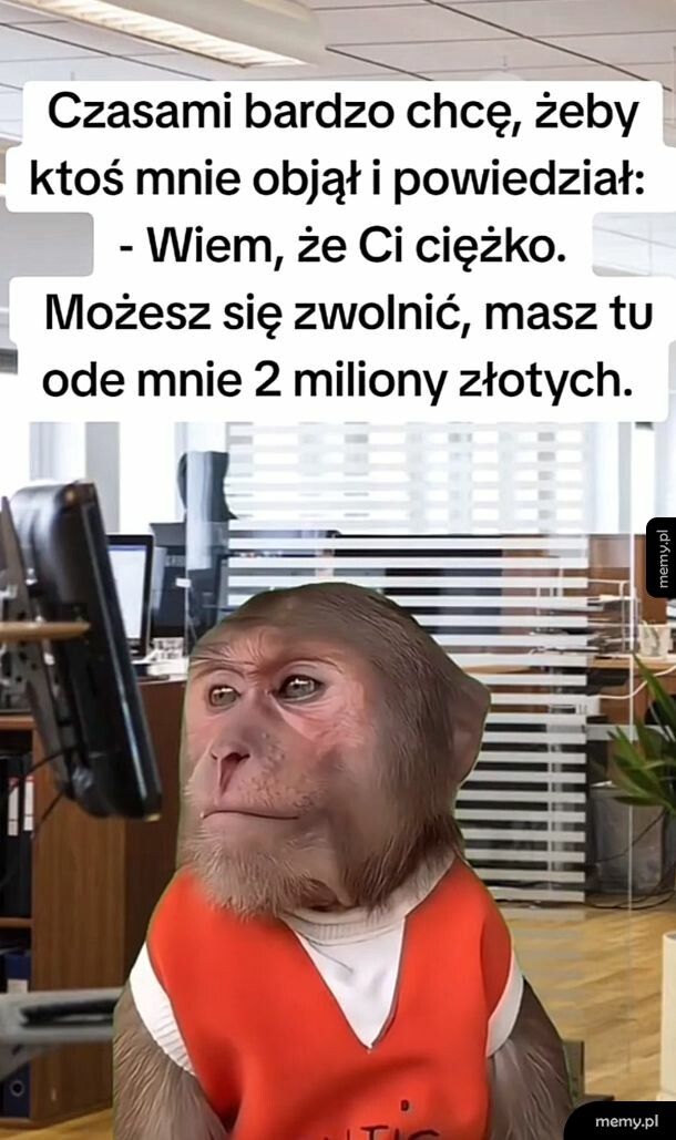 Tylko tyle