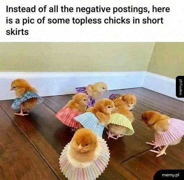 Coś pozytywnego dla odmiany