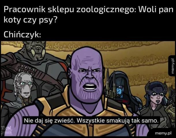 Żadna r&oacute;żnica