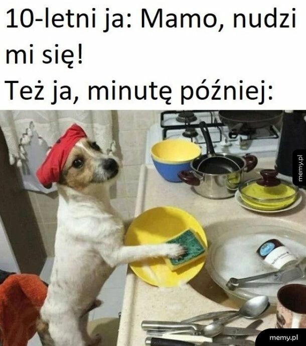 Znudzony