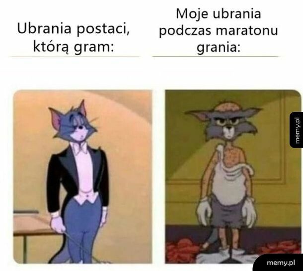 Gracz