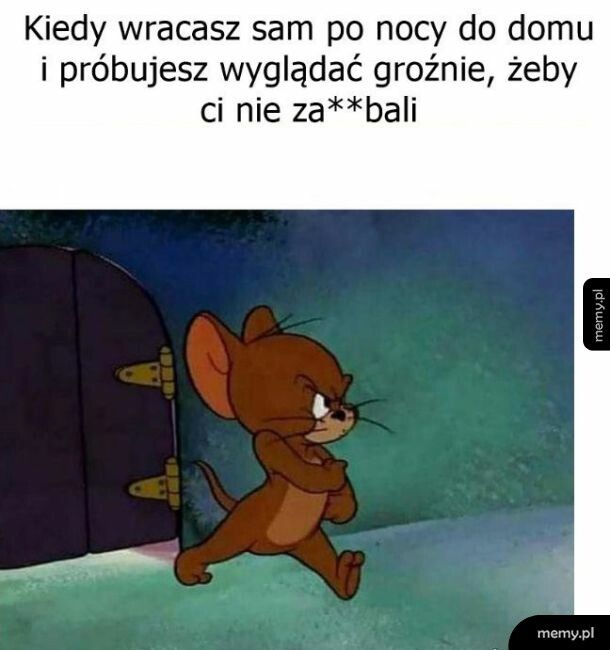 Powr&oacute;t do domu