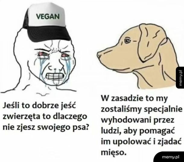 Pies