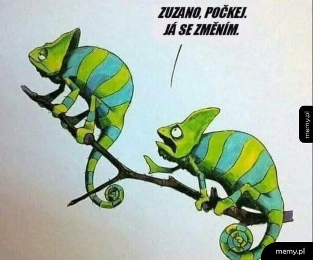 Zuzanno, pockej